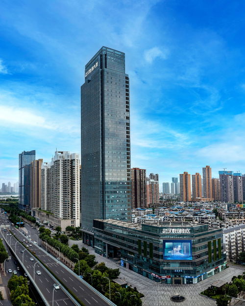 增強文化自信,加快適應(yīng)信息技術(shù)迅猛發(fā)展新形勢 武漢黨員干部群眾學(xué)習(xí)領(lǐng)會黨的二十屆三中全會精神之五 武漢市人民政府門戶網(wǎng)站