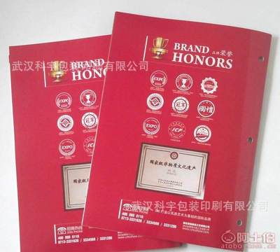 【廠家免費(fèi)專業(yè)設(shè)計(jì)印刷企業(yè)宣傳冊(cè)、產(chǎn)品畫冊(cè)、說(shuō)明書